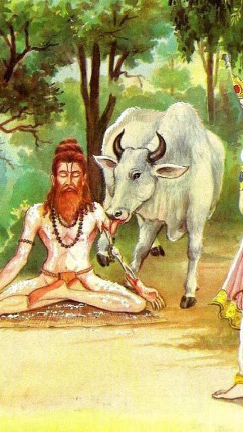 
नैमिषारण्य को नीमसार और नैमिस के नाम से भी जाना जाता है. पौराणिक कथाओं के अनुसार महर्षि दधिचि नें यहीं पास में ही देवताओं की रक्षा के लिए समाधि ली थी.