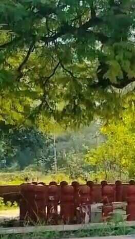ये ऐतिहासिक स्थल फतेपुर जिले में स्थित एक प्राचीन इमली का पेड़ है, जो भरतीय स्वतंत्रता संग्राम का साक्षी रहा है.