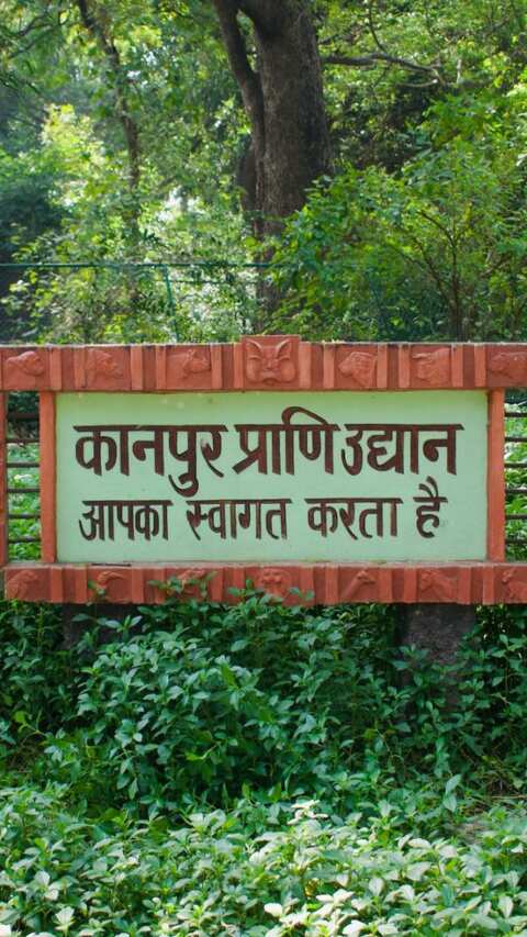 ऐसा ही एक शानदार और रोमांच से भरपूर जगह कानपुर का चिड़ियाघर है. 