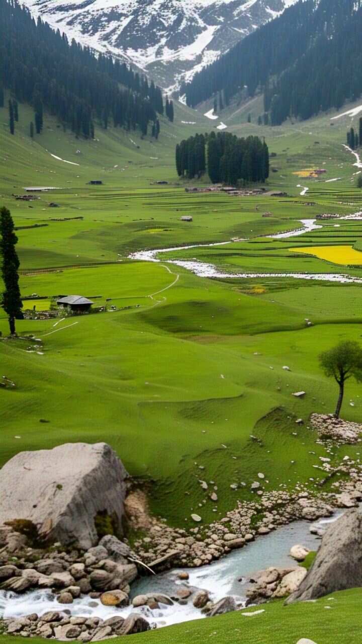 यहां की हरियाली और शांतपूर्ण माहौल पर्यटकों के आकर्षण का केन्द्र बना हुआ है, जहां पर दूर-दूर से पर्यटक घूमने के लिए आते हैं