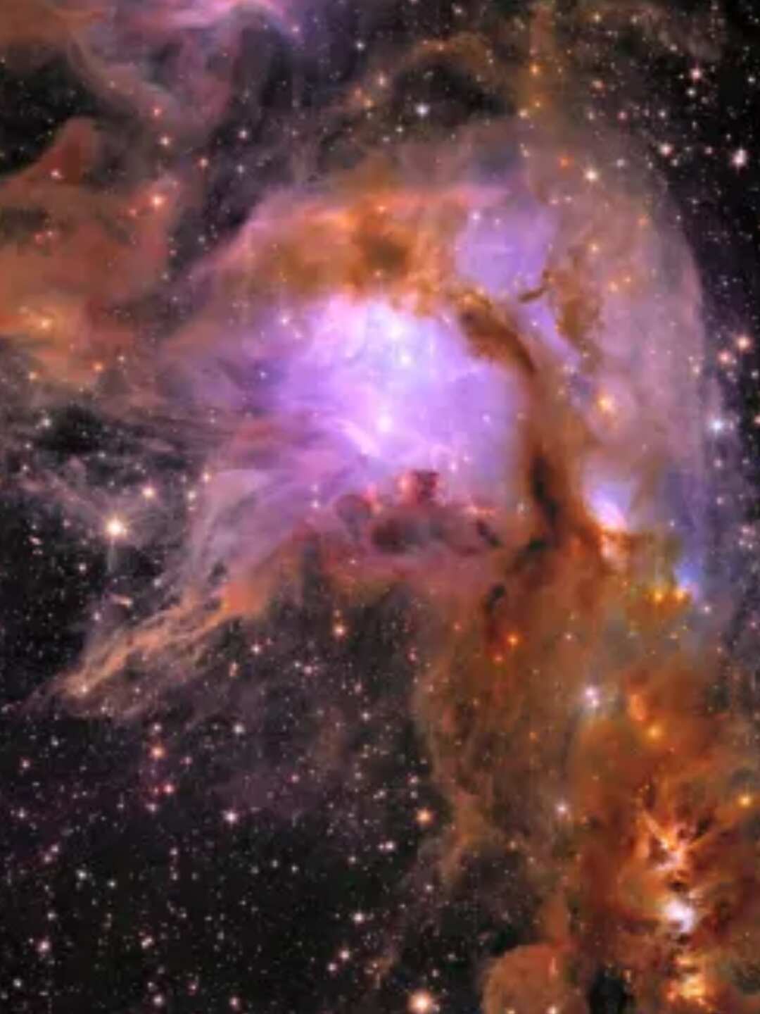 New Images From ESA NASA Mission Reveal Wide View Of Dark Universe new-images-from-esa-nasa-mission-reveal-wide-view-of-dark-universe