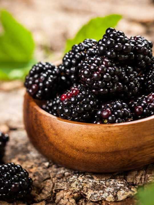 5 Health Benefits of Blackberries
