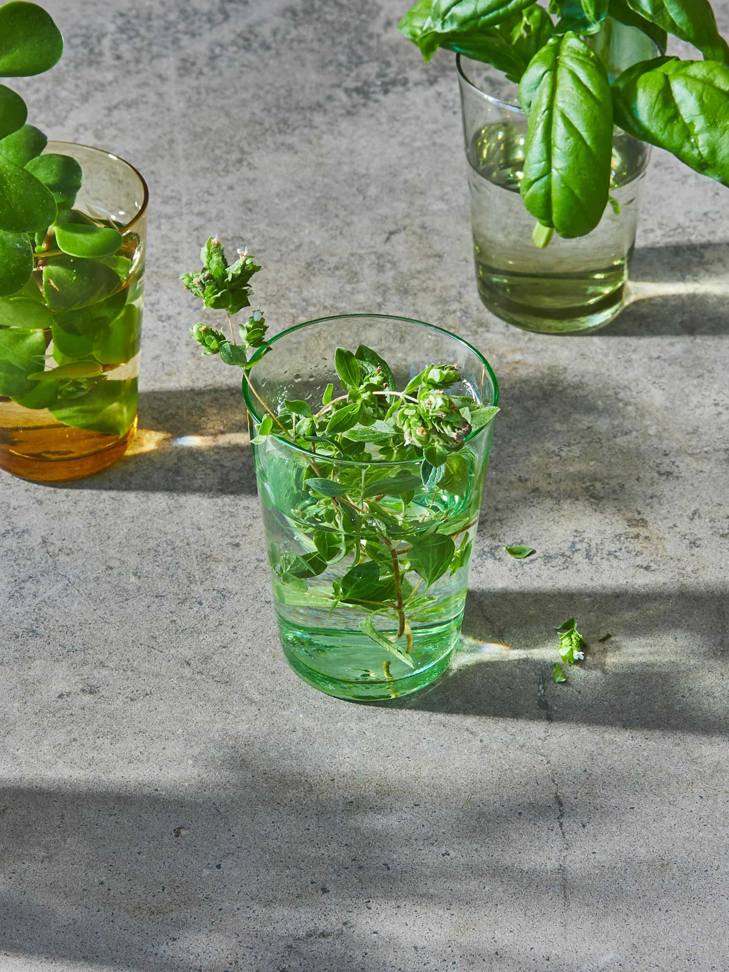 6 Health Benefits Of Drinking Mint Water