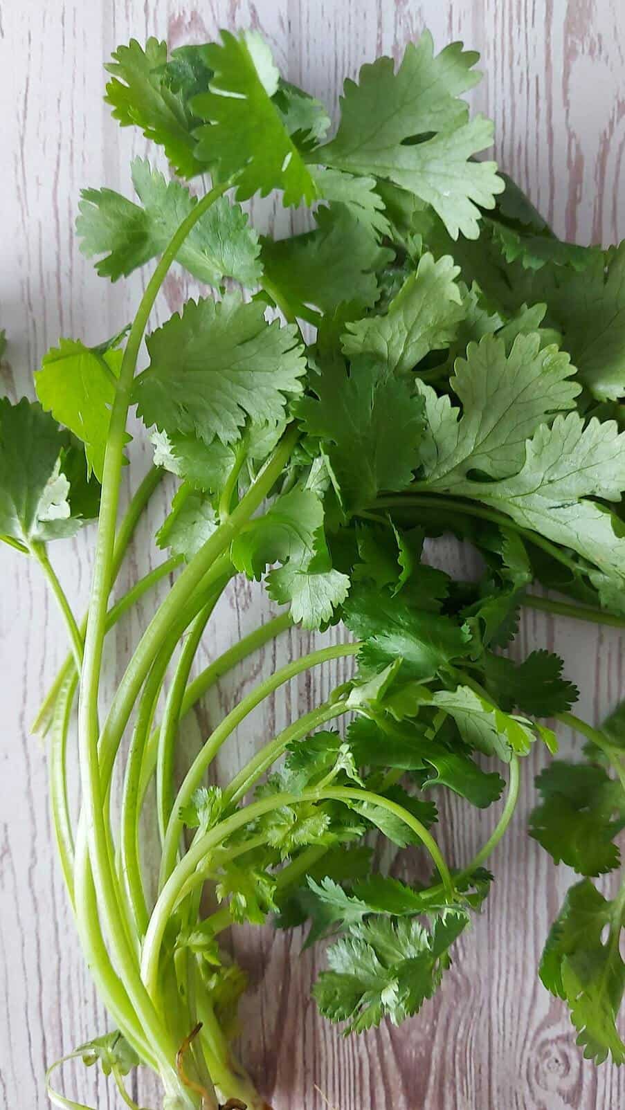 6 Surprising Health Benefits of Coriander