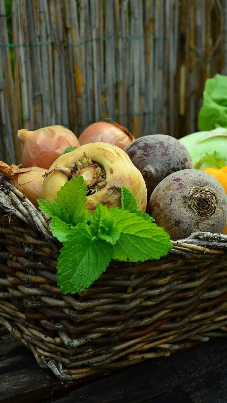 5 superfoods to improve metabolism