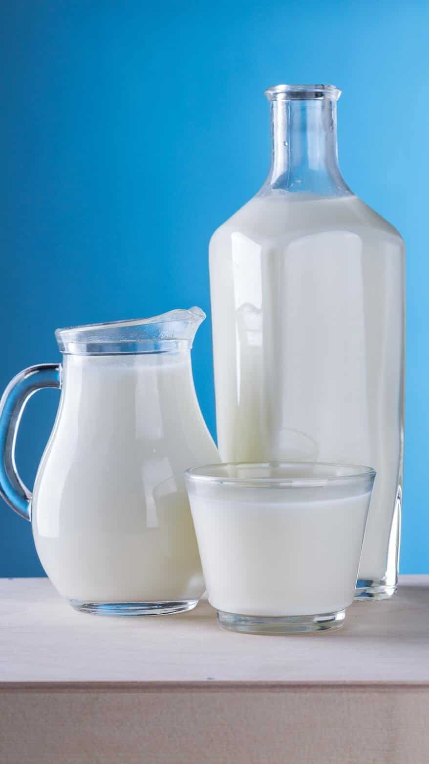 Top 9 NonDairy Milk Substitutes to Satisfy Your Taste Buds