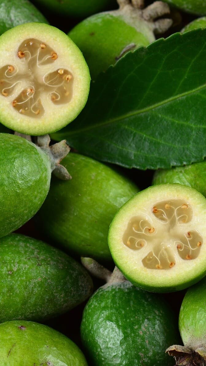 5 Health Benefits of Feijoa