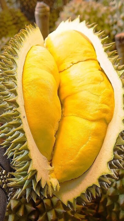 5 Health Benefits of Durian