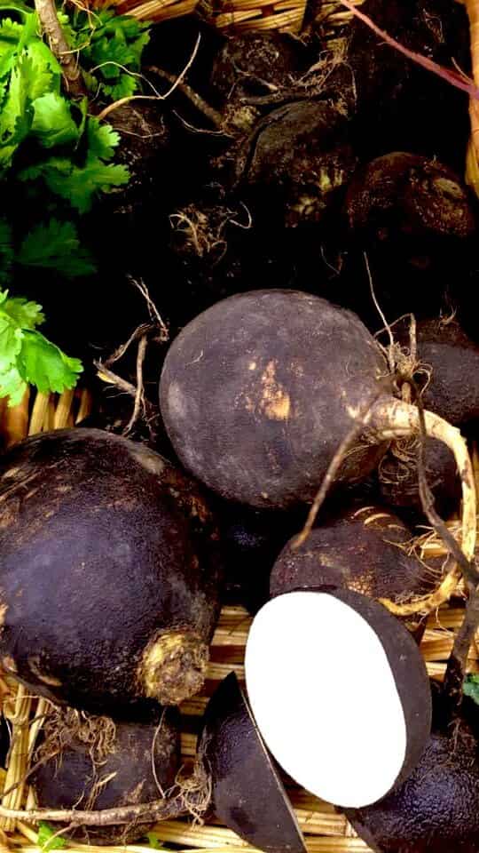 6 Health Benefits of Black Radish