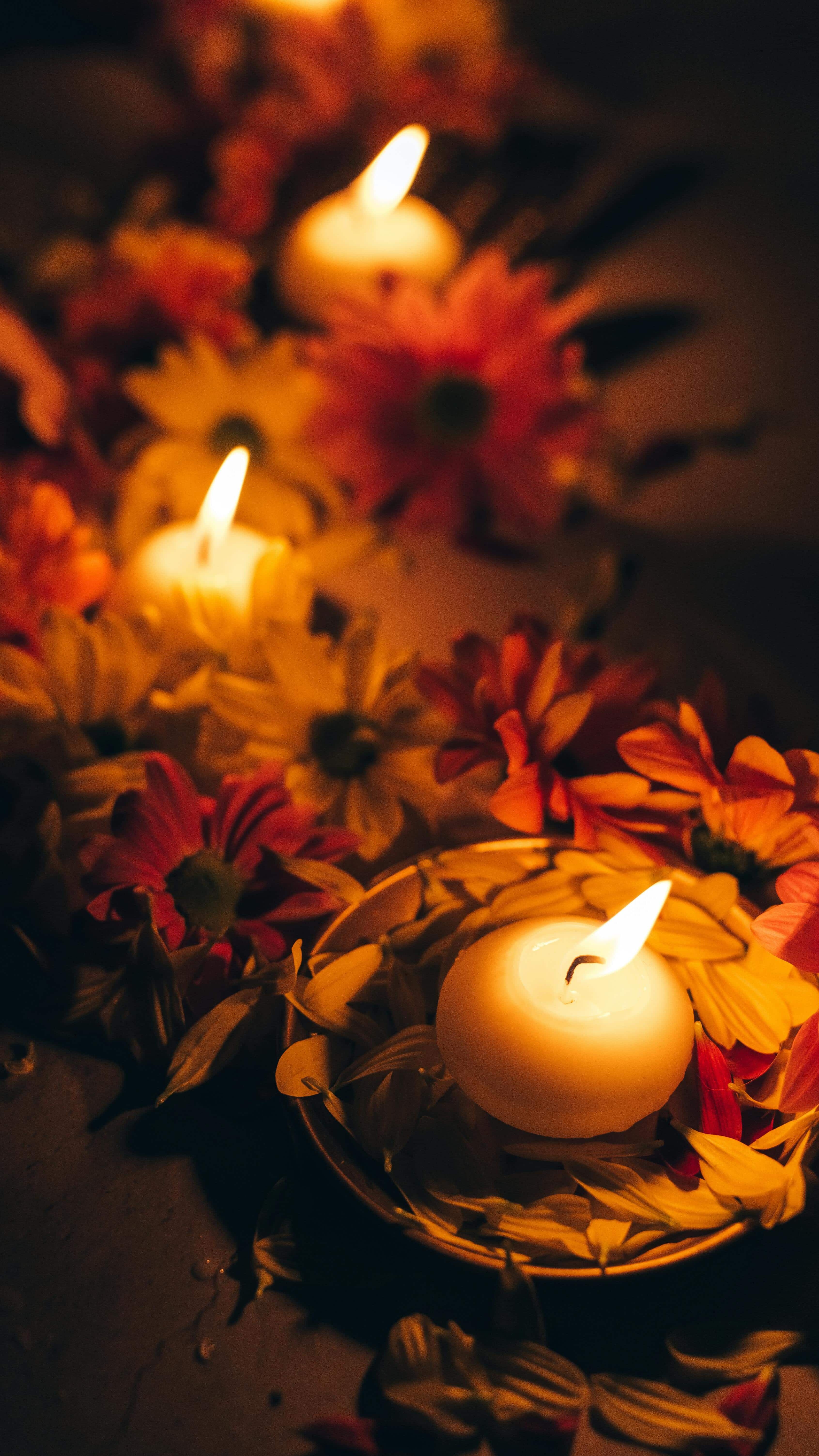 Eco-Friendly Diwali: Tips for a Green Celebration