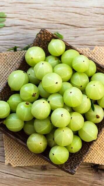 5 Winter Superfoods to Keep Your Immune System Strong
