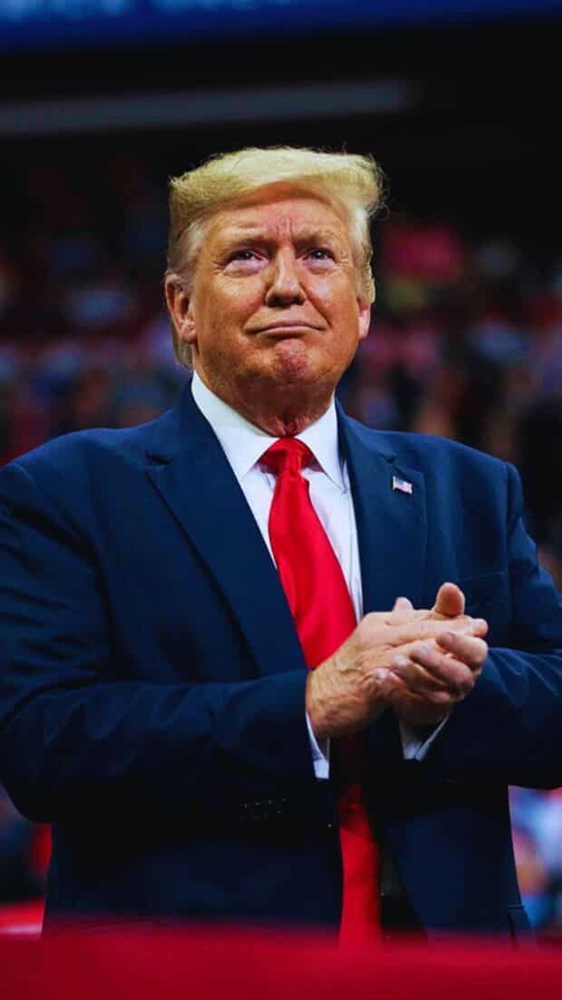 Trump 2.0: From Elon Musk to Kristi Noem, Who are Cabinet Picks So Far?
