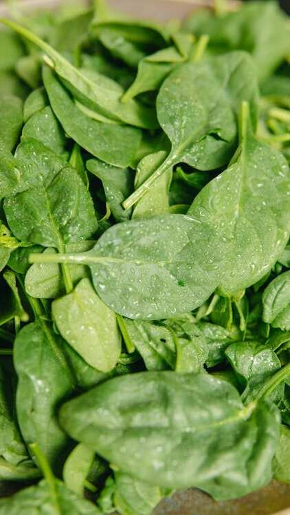 5 Immunity-Boosting Breakfast Foods for a Healthy Start
