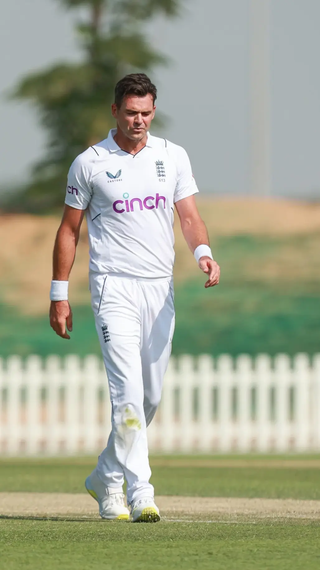 Most Wickets In Test Wins