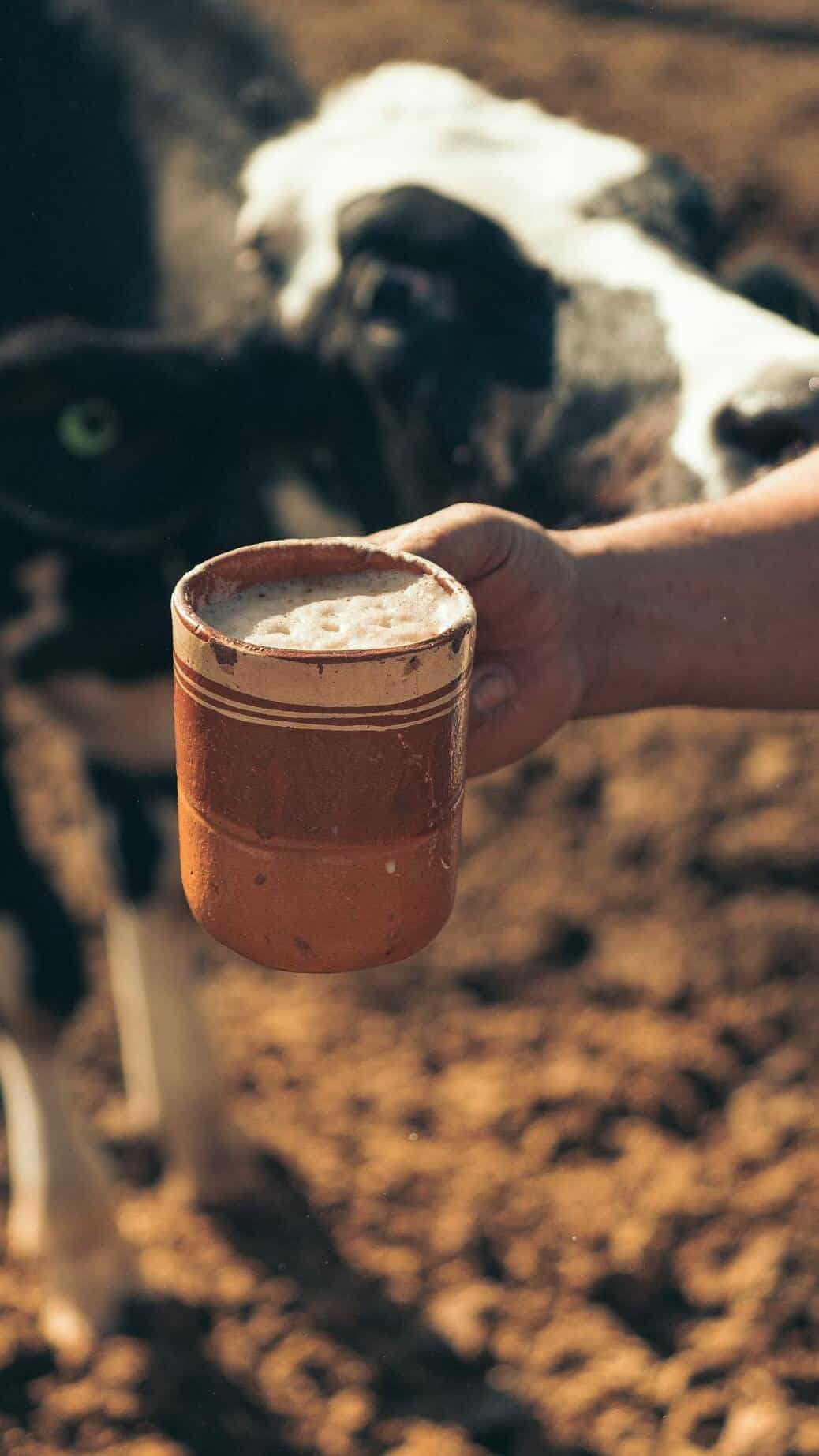 6 Health Benefits of Drinking Cow Milk