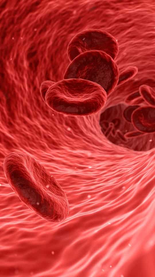 7 Natural Blood Thinners Which Help Prevent Stroke