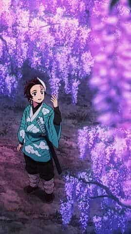 purple wisteria Wisteria, Amethyst Falls Wisteria 2 GALLON