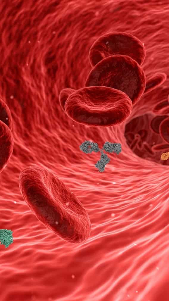 Fresh Look at 7 Ways To Boost Blood Circulation And Increase Longevity