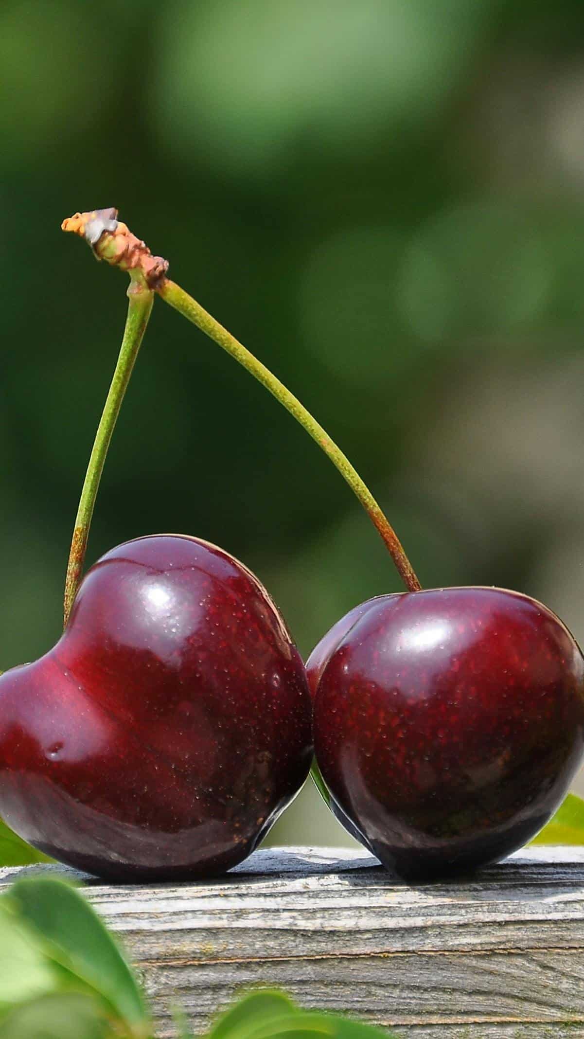 Cherry Popcherry: The Unexpected Benefits - 2panjo9