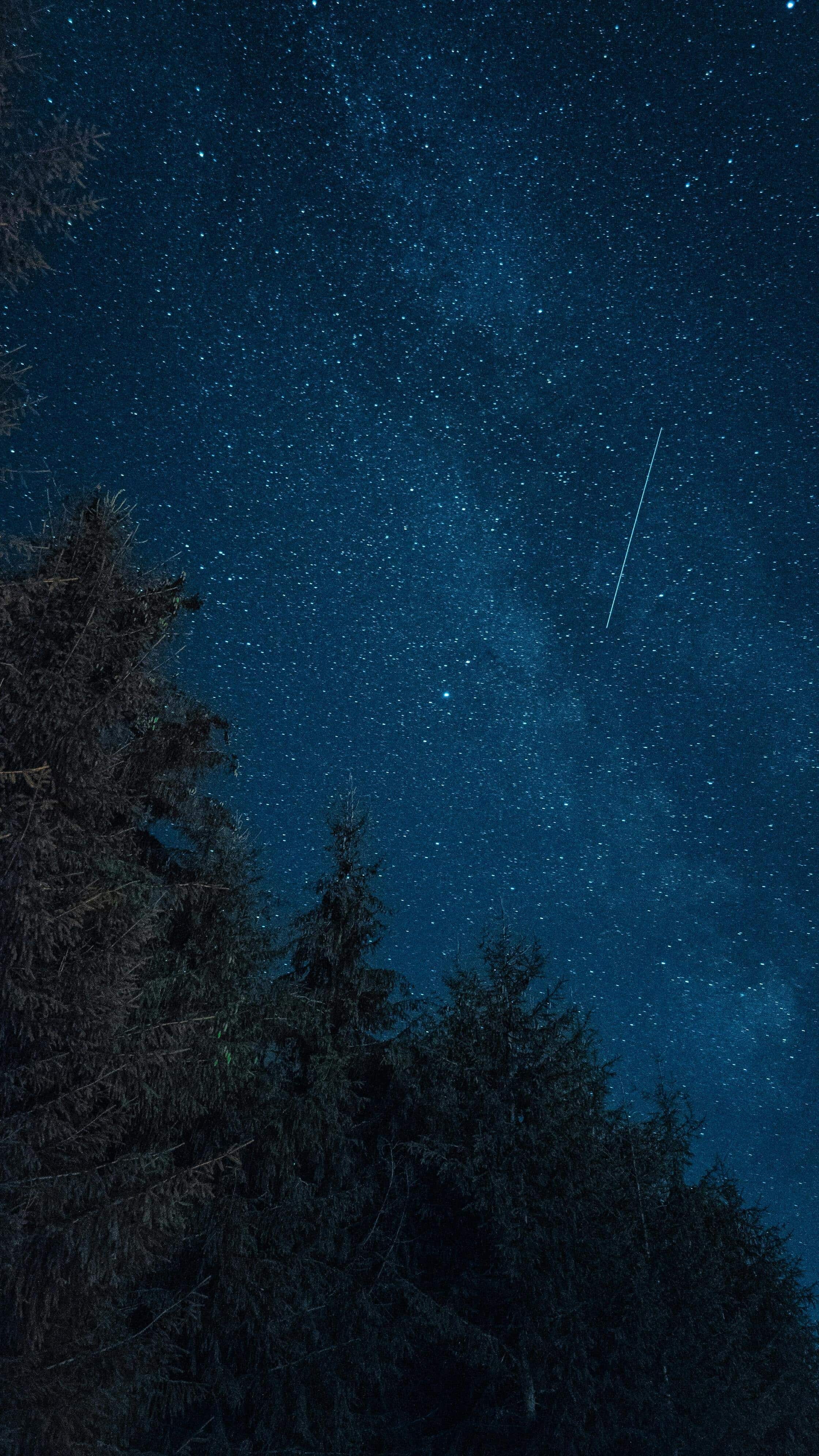 6 Meteor Showers You Can Plan to See in 2024