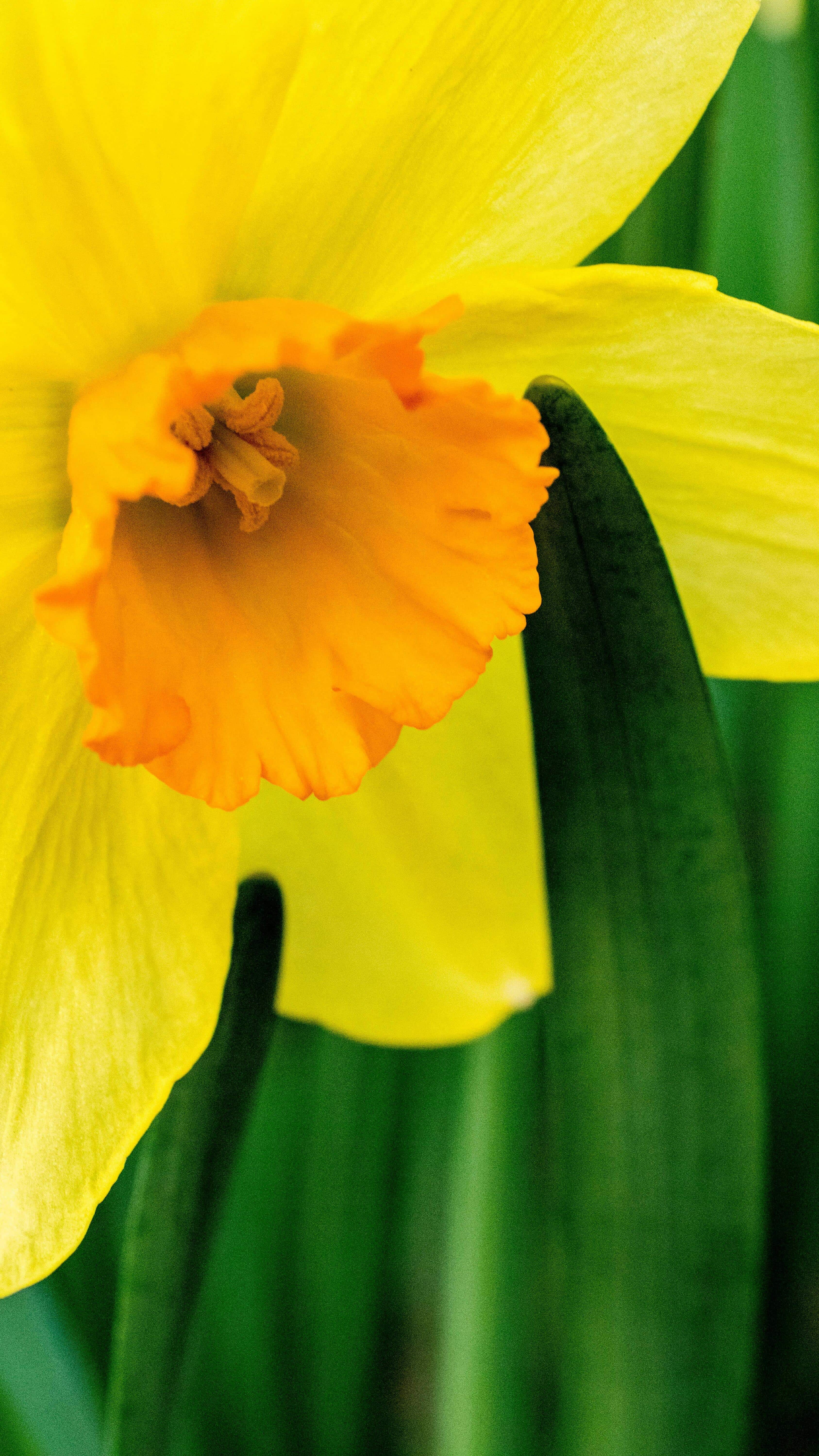 The Psychology of Bright Colours: How They Affect Your Mood and Energy