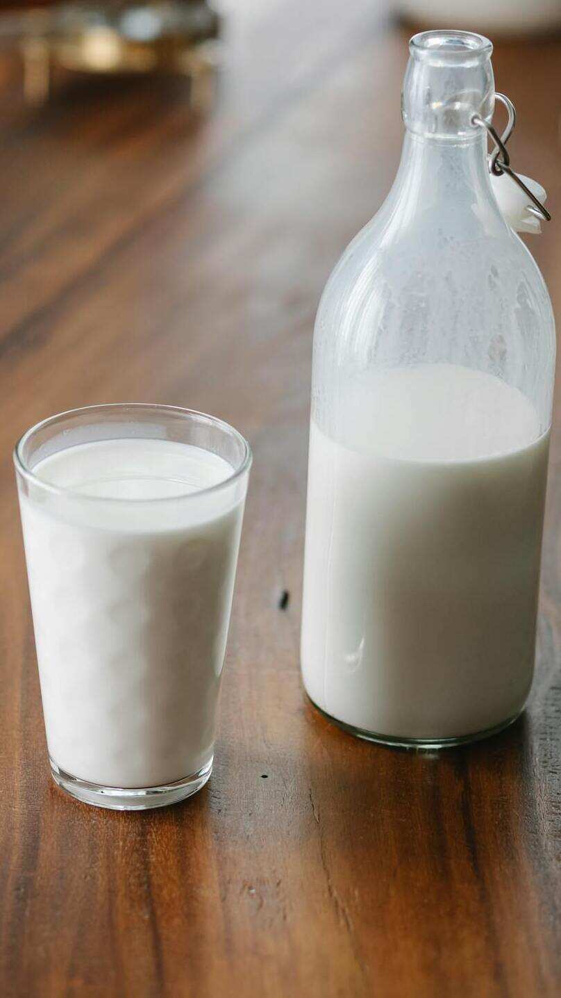 4 Best Vegan Milk for Weight Loss