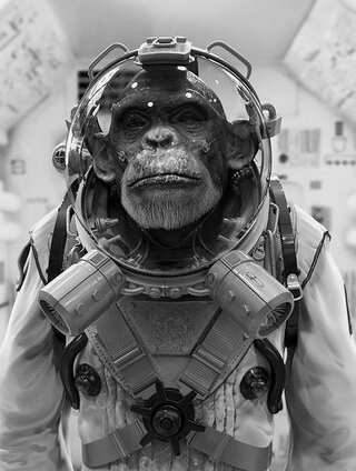 7 Animals Who Have Been to Space