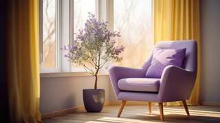 6 Big Indoor Plants Which Thrive In Less Sunlight 

