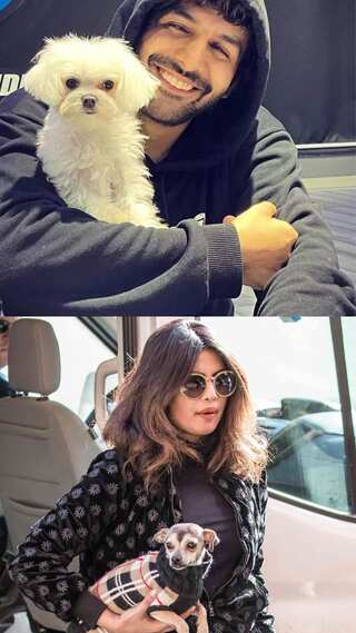 Bollywood Celebrities And Their Pets