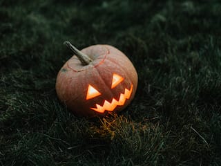 10 Horror Comedies to Watch This Halloween 


