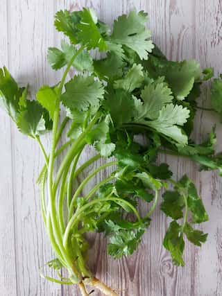 6 Surprising Health Benefits of Coriander

