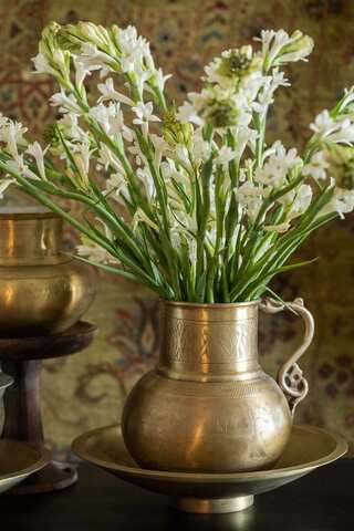 Diwali 2023: 6 Sustainable Practices for a Green Diwali
