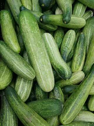 5 Benefits of Consuming Cucumber 
