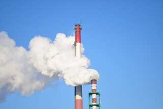 5 Ways Countries can Adapt to Climate Crisis