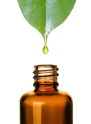 Tea Tree Oil for Skin: 5 Popular Uses & Benefits
