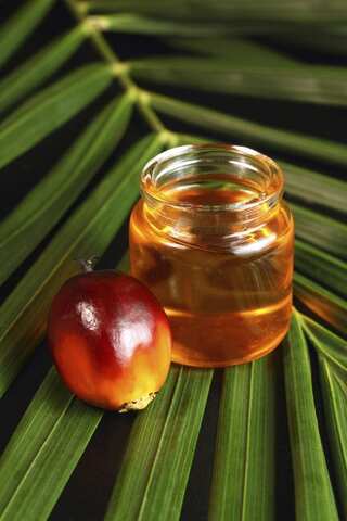 7 Side Effects of Palm Oil


