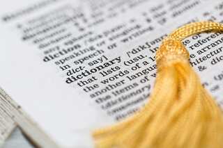 'Hallucinate': Cambridge Dictionary Word of the Year is AI-inspired