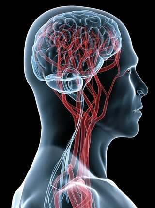8 Brain Health Supplements That Boost Memory 