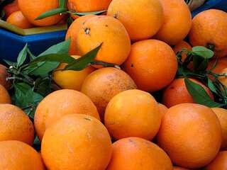 Do You Have Hypervitaminosis C? Check These 5 Symptoms