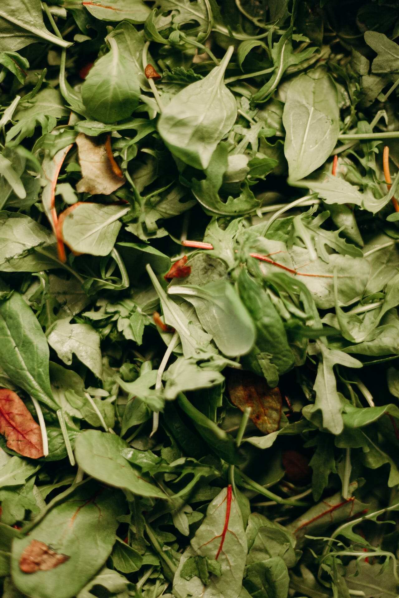 Wion News