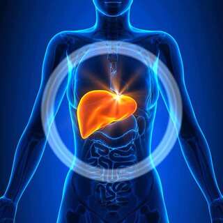 6 Best Herbs for Liver Health




