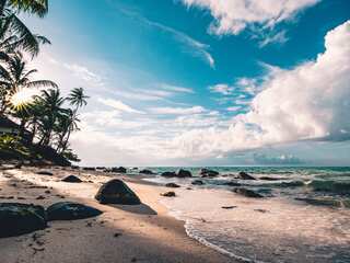 Travelling To Goa This Winter? Here's A List Of Top Things To Do
