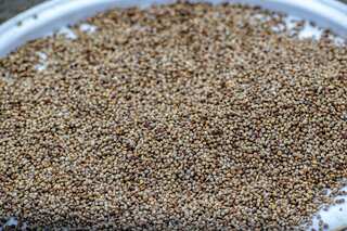 6 Must-Try Winter Special Bajra Recipes