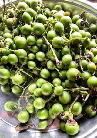 Lasoda (Glue Berry): This Small, Rare Fruit Is A Powerhouse Of Nutrients
