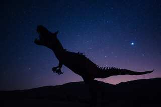 Top Dinosaur Discoveries Of 2023 