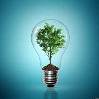 National Energy Conservation Day 2023: Top 6 Inspiring Quotes
