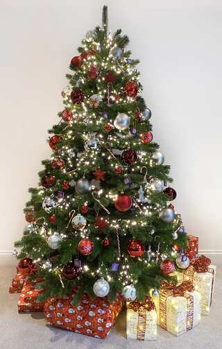 5 Festive Facts About Christmas 