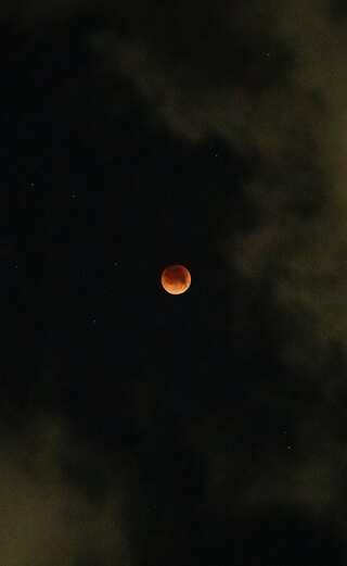 7 Spectacular Astronomical Events Coming Up in 2024 