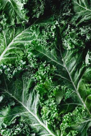 6 Vegetarian Foods to Help Treat Your Migraine
