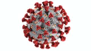 Covid Variant JN.1 in India: Symptoms To Watch Out For